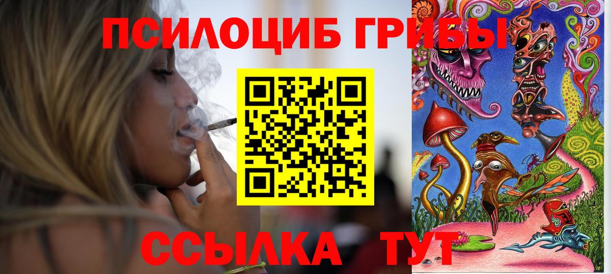 Псилоцибиновые грибы Magic Shrooms Норильск