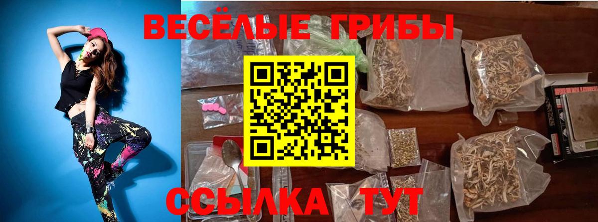 Норильск  Псилоцибиновые грибы GOLDEN TEACHER  Вход с VPN  Псилоцибиновые грибы MAGIC MUSHROOMS 